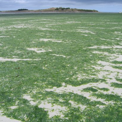 Le sulfure d’hydrogène