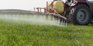 Tractor spraying wheat field with sprayer, herbicides and pesticides