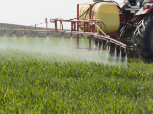 Tractor spraying wheat field with sprayer, herbicides and pesticides