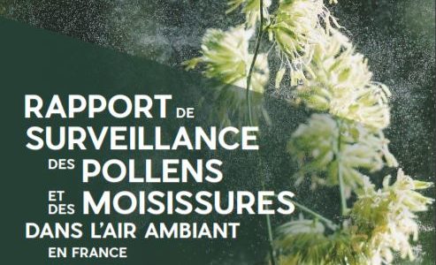 Photo rapport surveillance pollens 2020