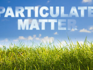 Particulate Matter (PM) concept image against a green wild grass on sky background.