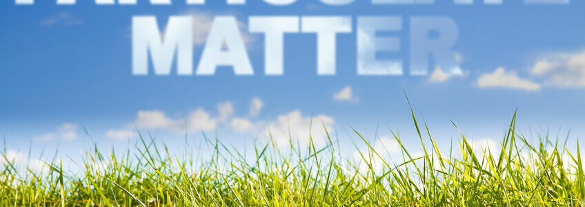 Particulate Matter (PM) concept image against a green wild grass on sky background.