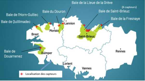 Environnement : la Bretagne désemparée face l'invasion des algues vertes