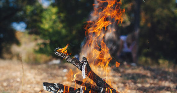 Bonfire in the autumn forest. Coals of fire. Background