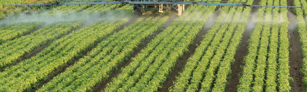 Farming tractor spraying a field