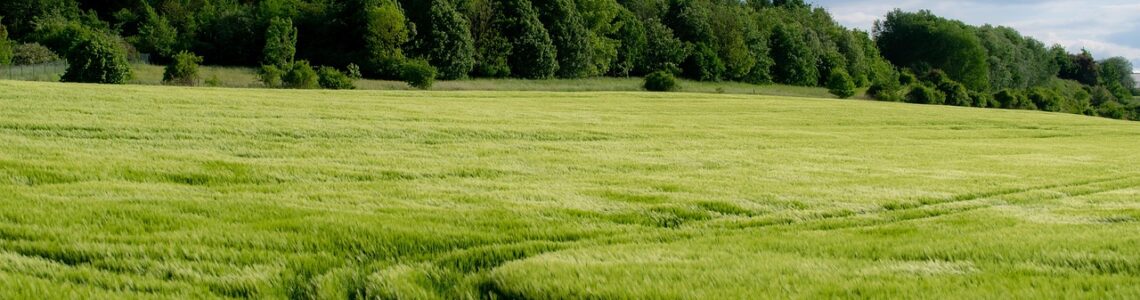 coernl-field-7217003_1280