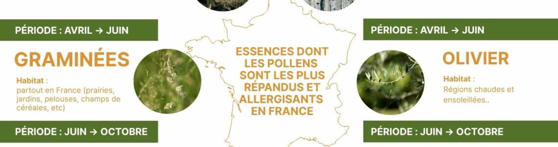 les pollens