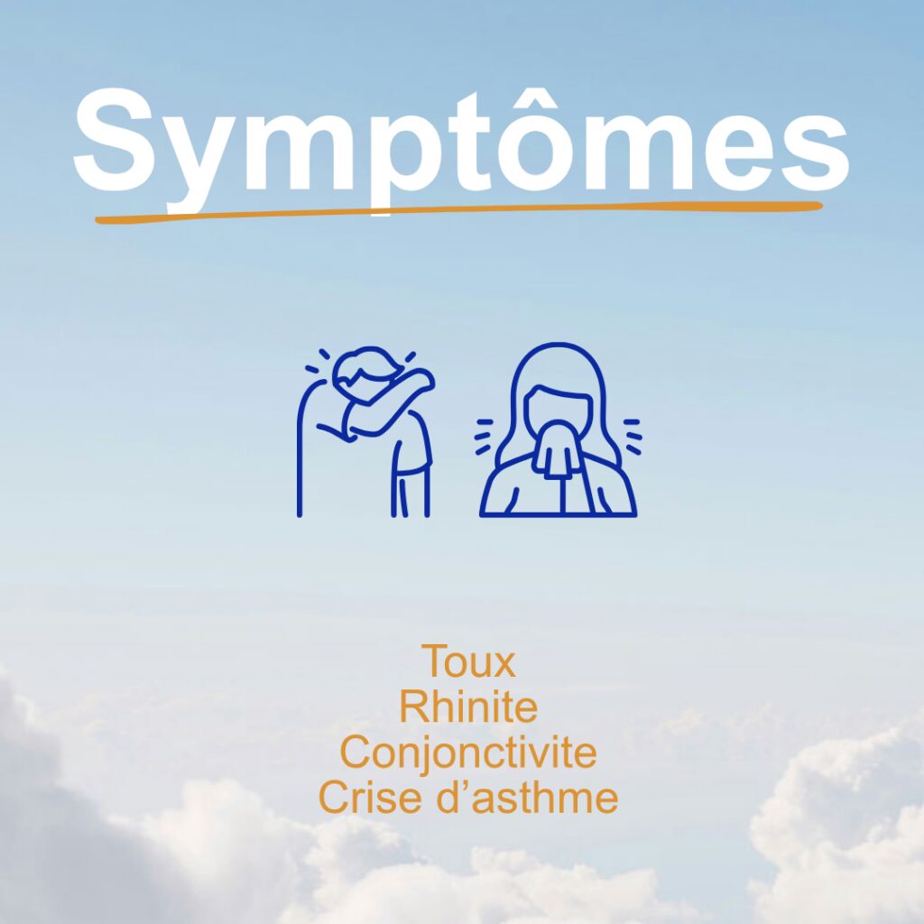 Symptômes allergiques : toux, rhinite, conjonctivite, crise d'asthme
